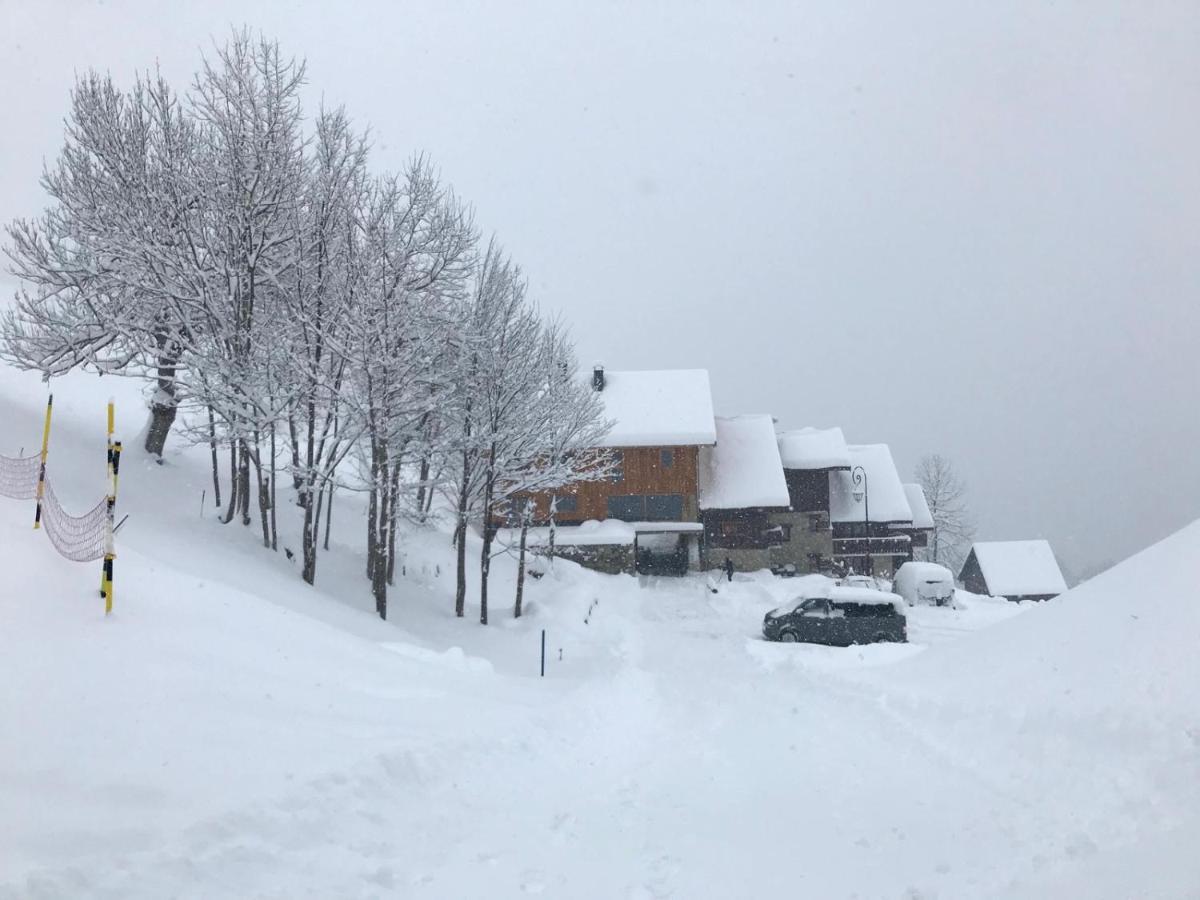 Chalet Lucie Le Cheval Noir ヴァルモレル エクステリア 写真