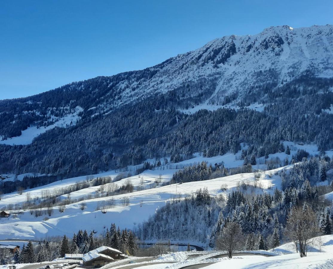 Chalet Lucie Le Cheval Noir ヴァルモレル エクステリア 写真